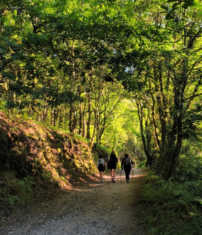 Camino Portugués de la Costa. 2 de julio de 2026.